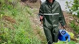 给娃起名字这事，可难坏了我老公猫 萌宠 田园生活