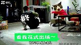 盘点监控下的倒霉蛋，监控下的一幕，监控下的倒霉蛋，倒霉瞬间