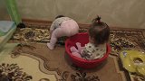 超逗！有些宝宝看似争抢，实则卖萌，盆里那个最后好可怜