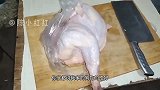 农村土狗生了4只狗宝宝，老妈专门买了一只老母鸡，犒劳一下老狗