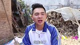 伙伴跟甜甜一起做波波球，会发光的小球球真好看，太好玩了