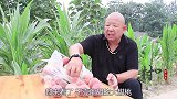 河南方言：李大爷摆摊有高招，一车蜜桃瞬间卖空，结局太逗了
