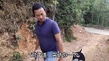 穷小伙娶个好媳妇，摘了几个大桃子傻傻等他来尝！真让人羡慕