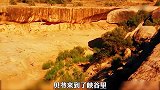 在沙漠可以用石板煎蛋，你敢信