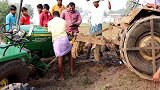 印度农民驾驶的拖拉机陷泥坑出不来，司机无计可施找来同伴帮忙