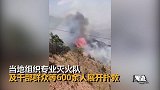 云南大理突发森林火灾 600余人赶赴现场展开扑救