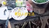 农村朴实美食，竟被城里人骂土鳖，难道没吃过？
