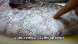 日本大厨处理鳕鱼精子，蘸上酱油直接生吃，网友：不敢！