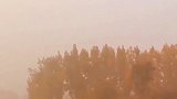 秋去冬来留不住，不负年华不负卿。