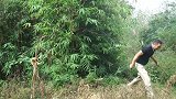 二哥钓到野货, 做了一锅“酸菜鲫鱼”三兄弟连汤都干光了
