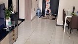 以后这个工作可以交给多多了，今天晚上六点半直播大家记得来爱宠来狂欢 多多神犬 萌宠出道计划