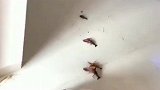 看见这一幕，咱也不知道为什么，咱也不敢问！