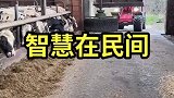 自己改的怎么样