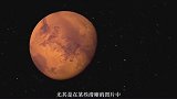 昆虫化石出现在火星照片中，我们寻找的“火星人”是大虫子