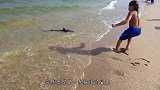 女子正在海边玩耍，一把抓住了鲨鱼的尾巴，结果可想而知！