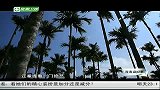 海南岛纪事-20130324