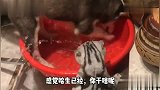 汪星人玩水正开心，喵星人来了，结局太搞笑了
