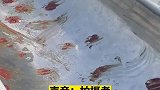 儿童公园滑梯为防使用被涂油