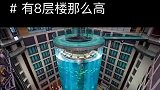 置身于八层楼高的鱼缸里是一种什么感觉