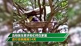 印度村民上树隔离 只因家中没有单独房间