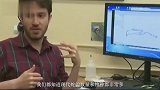 至今9900万年的琥珀被发现，里面包裹着多种未知的远古生物