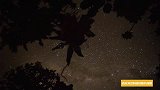 达尔文对物种随时间进化做了详细描述，可物种起源问题谁来回答？