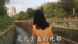一首情歌《山谷里的思念》送给你,歌声真的很好听,感动无数人
