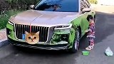 亲生的，不能打不能打