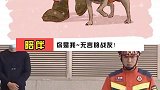 这个搜救犬实在太可爱啦