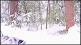 暴风雪里前行，搭建帆布帐篷抵挡严寒！还能取暖做饭！