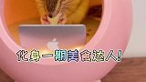 今天化身美食达人教大家做钵钵鸡！