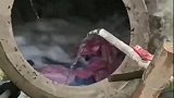 超大滚筒洗衣机有什么不好，女朋友嫌弃家里穷连夜走了！