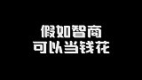 假如智商可以当钱花