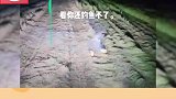 男子湖边钓鱼迷路，求助老婆放烟花指路