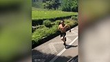 这是现实中的和汽车赛跑吗！小伙子真是厉害啊