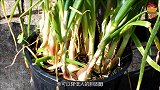 前列腺炎“冤家”发现了，常吃增加雄激素，杀菌消炎，保护前列腺