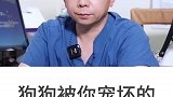 你家小狗被你宠坏了吗