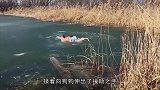 狗子贪玩掉入水中，主人前去营救，反把自己搭里面了