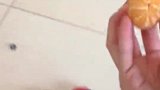 小哥哥：媳妇喂的东西，都特别有味道，这配方难道是跟潘金莲学的