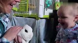 宝宝第一次看到小白兔，她的反应好可爱