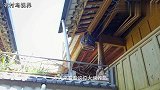 【鸟视界】看大叔养画眉鸟，他为何要换鸟食杯？