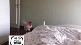 行走的闹钟，大公鸡跑到卧室床上打鸣叫女子起床