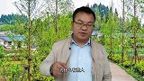 为什么有些父母不在了，兄弟姐妹就会成为仇人？无非是这3个原因