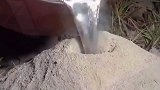 把2000度的铝水倒入蚂蚁窝会发生什么