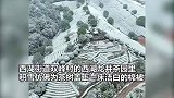 银装素裹！浙江杭州一夜飞雪，“限定西湖”绘成淡雅水墨画