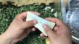 一级厨师的技术就是牛！教你包馄饨小秘诀，不管怎么包都不开裂！