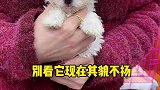 你们觉得小姐姐会喜欢它吗