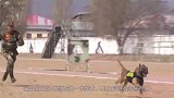 军犬到底有多聪明？看看这些训练画面，让人大开眼界！