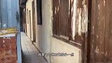 福建晋江猪肉粕，酥香有嚼劲，大哥自建3口柴火灶高峰日炸3000斤肉