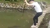 农村小伙池塘叉鱼，接下来这波操作，要不是亲眼见到谁信
